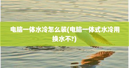 电脑一体水冷怎么装(电脑一体式水冷用换水不?)