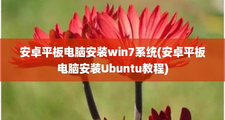 安卓平板电脑安装win7系统(安卓平板电脑安装Ubuntu教程)