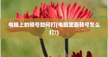 电脑上的顿号如何打(电脑里面顿号怎么打?)
