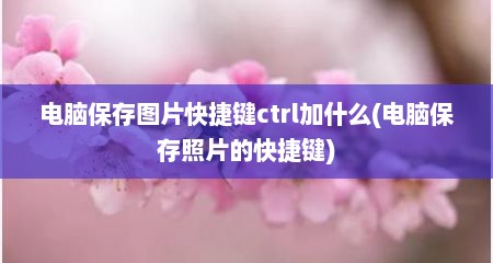 电脑保存图片快捷键ctrl加什么(电脑保存照片的快捷键)