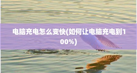 电脑充电怎么变快(如何让电脑充电到100%)