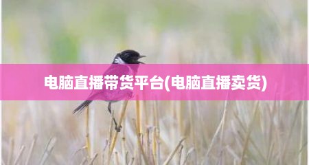 电脑直播带货平台(电脑直播卖货)