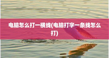 电脑怎么打一横线(电脑打字一条线怎么打)