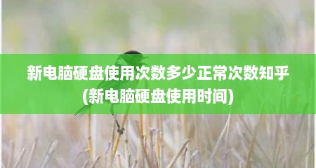 新电脑硬盘使用次数多少正常次数知乎(新电脑硬盘使用时间)