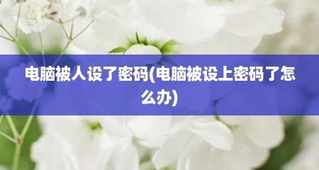 电脑被人设了密码(电脑被设上密码了怎么办)
