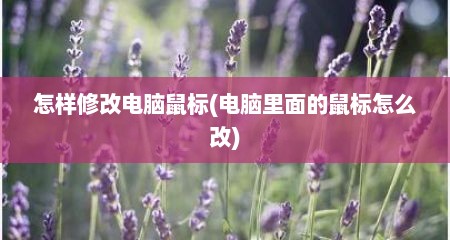 怎样修改电脑鼠标(电脑里面的鼠标怎么改)