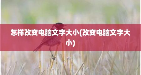 怎样改变电脑文字大小(改变电脑文字大小)