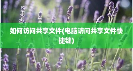 如何访问共享文件(电脑访问共享文件快捷键)