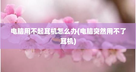 电脑用不起耳机怎么办(电脑突然用不了耳机)