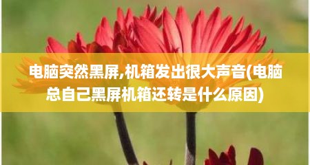 电脑突然黑屏,机箱发出很大声音(电脑总自己黑屏机箱还转是什么原因)