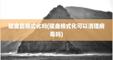 磁盘能格式化吗(磁盘格式化可以清理病毒吗)