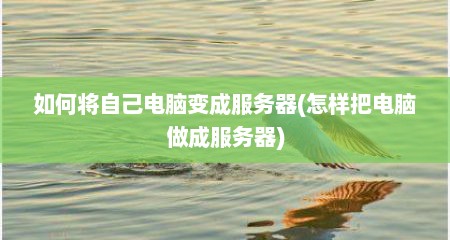 如何将自己电脑变成服务器(怎样把电脑做成服务器)
