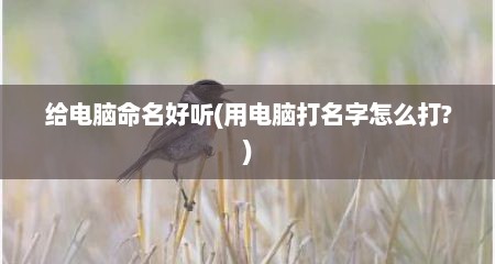 给电脑命名好听(用电脑打名字怎么打?)