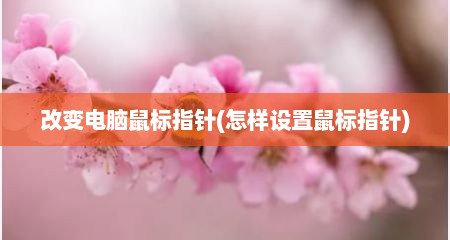 改变电脑鼠标指针(怎样设置鼠标指针)