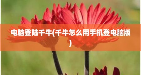 电脑登陆千牛(千牛怎么用手机登电脑版)