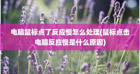 电脑鼠标点了反应慢怎么处理(鼠标点击电脑反应慢是什么原因)