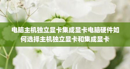 电脑主机独立显卡集成显卡电脑硬件如何选择主机独立显卡和集成显卡