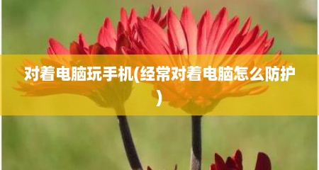 对着电脑玩手机(经常对着电脑怎么防护)