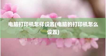 电脑打印机怎样设置(电脑的打印机怎么设置)