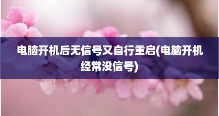 电脑开机后无信号又自行重启(电脑开机经常没信号)