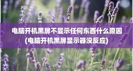 电脑开机黑屏不显示任何东西什么原因(电脑开机黑屏显示器没反应)