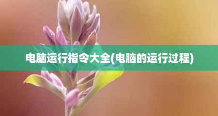 电脑运行指令大全(电脑的运行过程)