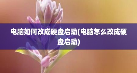 电脑如何改成硬盘启动(电脑怎么改成硬盘启动)