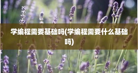 学编程需要基础吗(学编程需要什么基础吗)
