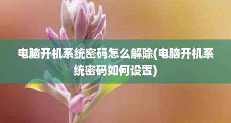 电脑开机系统密码怎么解除(电脑开机系统密码如何设置)