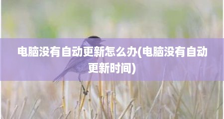 电脑没有自动更新怎么办(电脑没有自动更新时间)