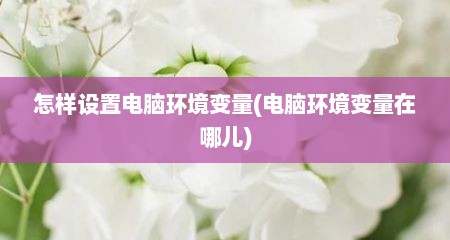 怎样设置电脑环境变量(电脑环境变量在哪儿)