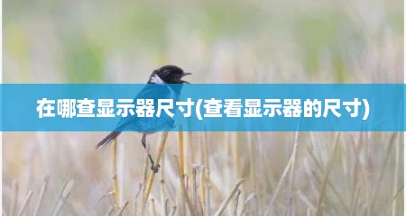 在哪查显示器尺寸(查看显示器的尺寸)