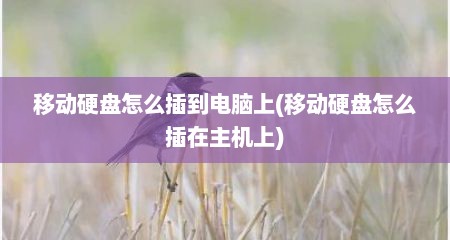 移动硬盘怎么插到电脑上(移动硬盘怎么插在主机上)