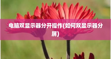 电脑双显示器分开操作(如何双显示器分屏)