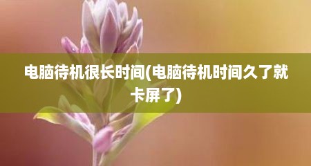 电脑待机很长时间(电脑待机时间久了就卡屏了)