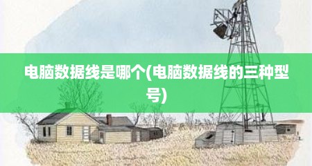 电脑数据线是哪个(电脑数据线的三种型号)