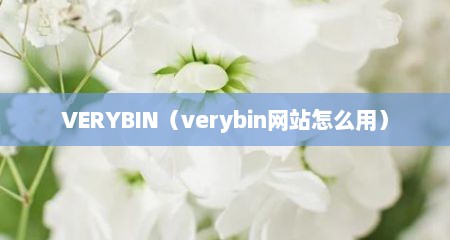 VERYBIN（verybin网站怎么用）