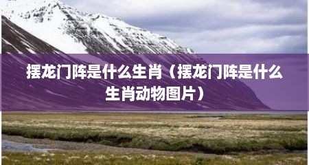 摆龙门阵是什么生肖（摆龙门阵是什么生肖动物图片）