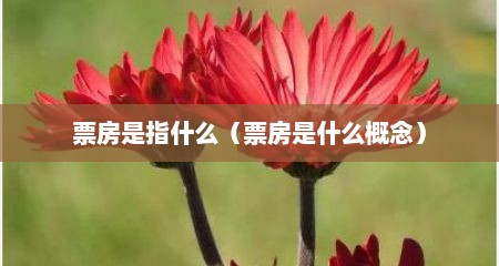票房是指什么（票房是什么概念）