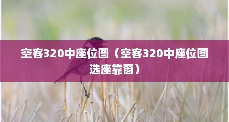 空客320中座位图（空客320中座位图选座靠窗）
