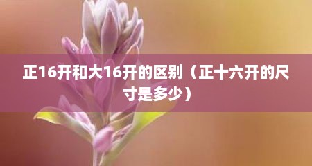 正16开和大16开的区别（正十六开的尺寸是多少）