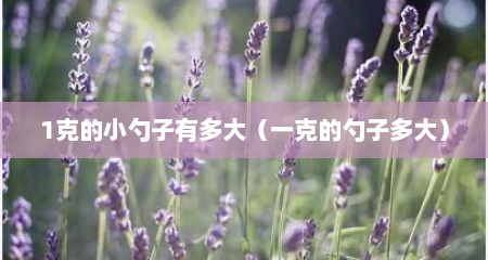 1克的小勺子有多大（一克的勺子多大）