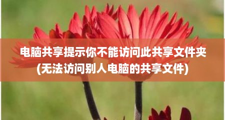 电脑共享提示你不能访问此共享文件夹(无法访问别人电脑的共享文件)