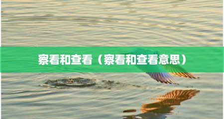 察看和查看（察看和查看意思）
