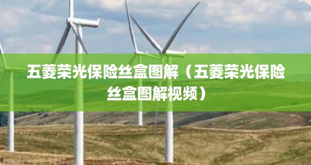 五菱荣光保险丝盒图解（五菱荣光保险丝盒图解视频）