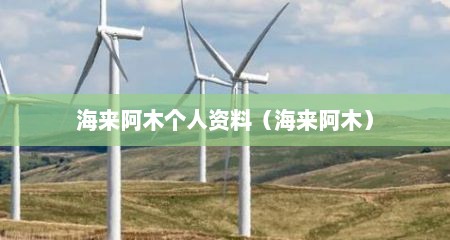 海来阿木个人资料（海来阿木）