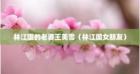 林江国的老婆王美雪（林江国女朋友）