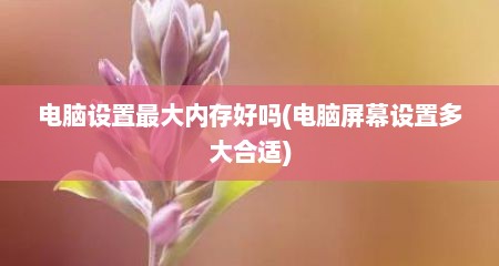 电脑设置最大内存好吗(电脑屏幕设置多大合适)