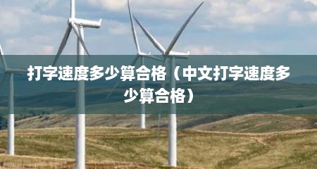 打字速度多少算合格（中文打字速度多少算合格）