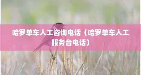哈罗单车人工咨询电话（哈罗单车人工服务台电话）